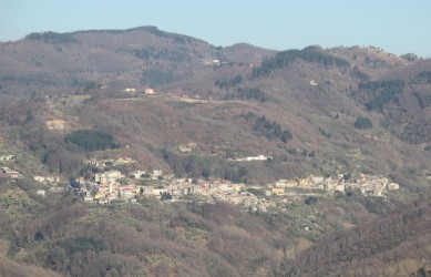 Conflenti