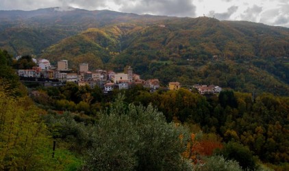 I colori dell'Autunno