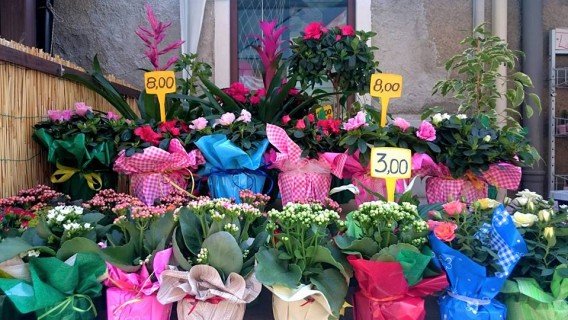 Mercato di fiori a Via Marconi