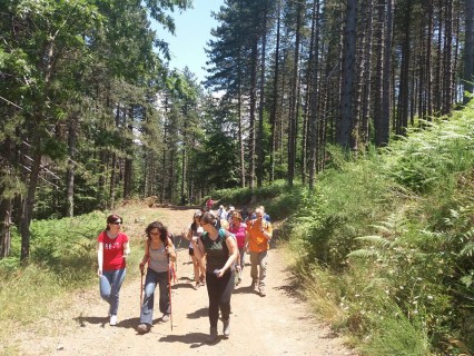 Conflenti Trekking: camminare alla scoperta del territorio