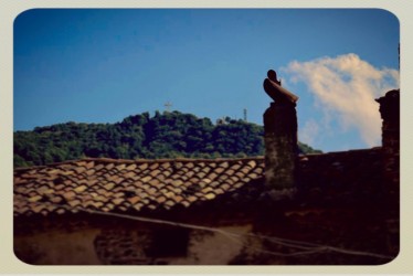 Alzando gli occhi al cielo!!