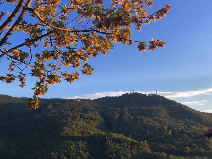 Conflenti è quello che non ti aspetti