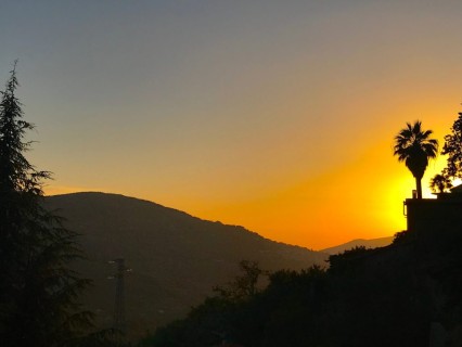 Come te ... Nessun posto