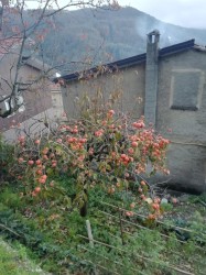 Novembre