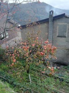Novembre