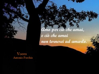 Spunti di riflessione