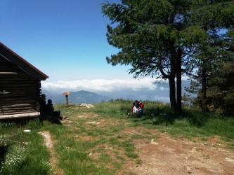 Coltiviamo le tradizioni: una giornata all'insegna della natura
