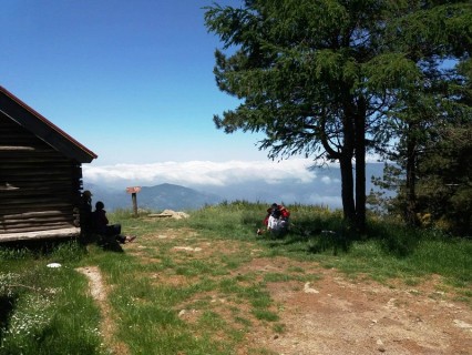 Coltiviamo le tradizioni: una giornata all'insegna della natura