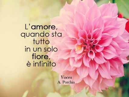 Spunti di riflessione: l'amore in un solo fiore