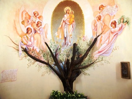 Le apparizioni della Madonna della Quercia raccontate a Radio Vaticana