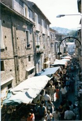 Festa della Madonna di Visora