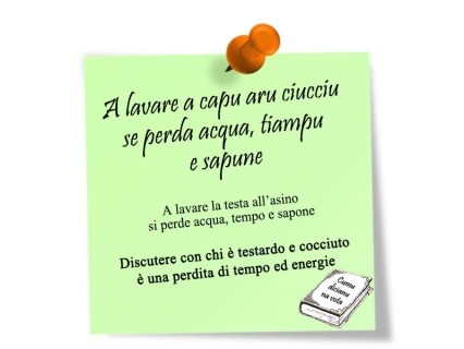 Lavare a capu aru ciucciu... è una perdita di tempo