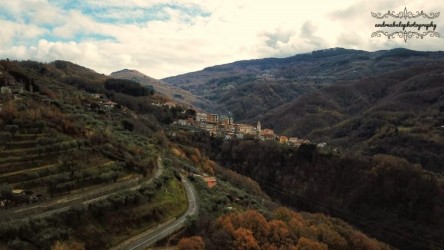 Dorme disteso sulla collina circondato da alberi e colori