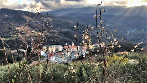Così... in bilico tra l'inverno e la primavera