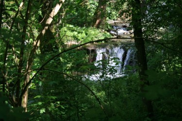 Una giornata al fiume: natura selvaggia e incontaminata