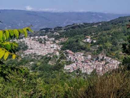 Programma feste religiose a Conflenti