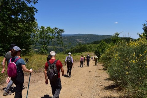 In cammino sui monti del Reventino sulle orme di Gioacchino da Fiore